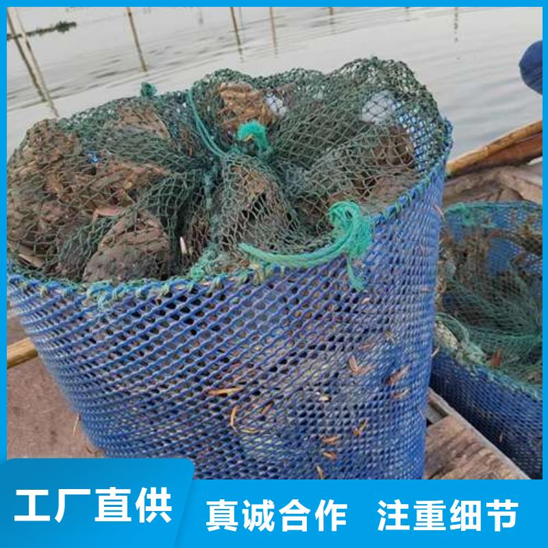 网上订购大闸蟹-视频-网上订购大闸蟹-阳澄湖镇岛顾记大闸蟹经营部(福州市分公司)服务区域马尾|闽侯|莆田|泉州|龙岩|厦门|南平|三明|漳州