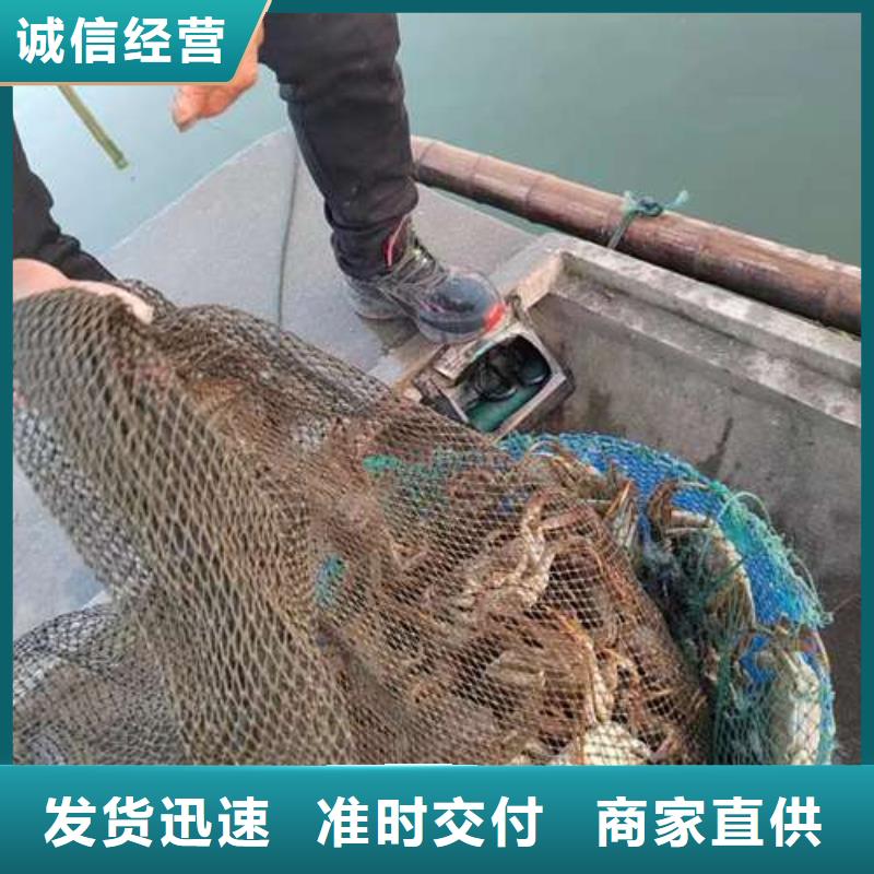 网上订购大闸蟹-视频-网上订购大闸蟹|安阳市|殷都|北关|许昌|郑州|漯河|濮阳|新乡|三门峡|商丘