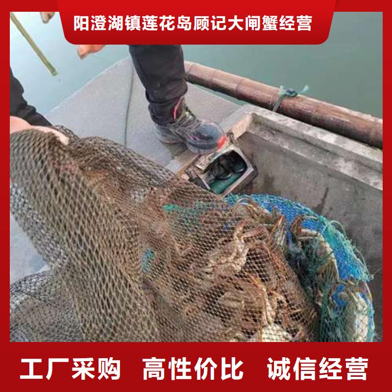 网上订购大闸蟹-视频-黑龙江省绥化市顾记网上订购大闸蟹可服务区域明水|绥棱|鹤岗|齐齐哈尔|大兴安岭|黑河|牡丹江|大庆等