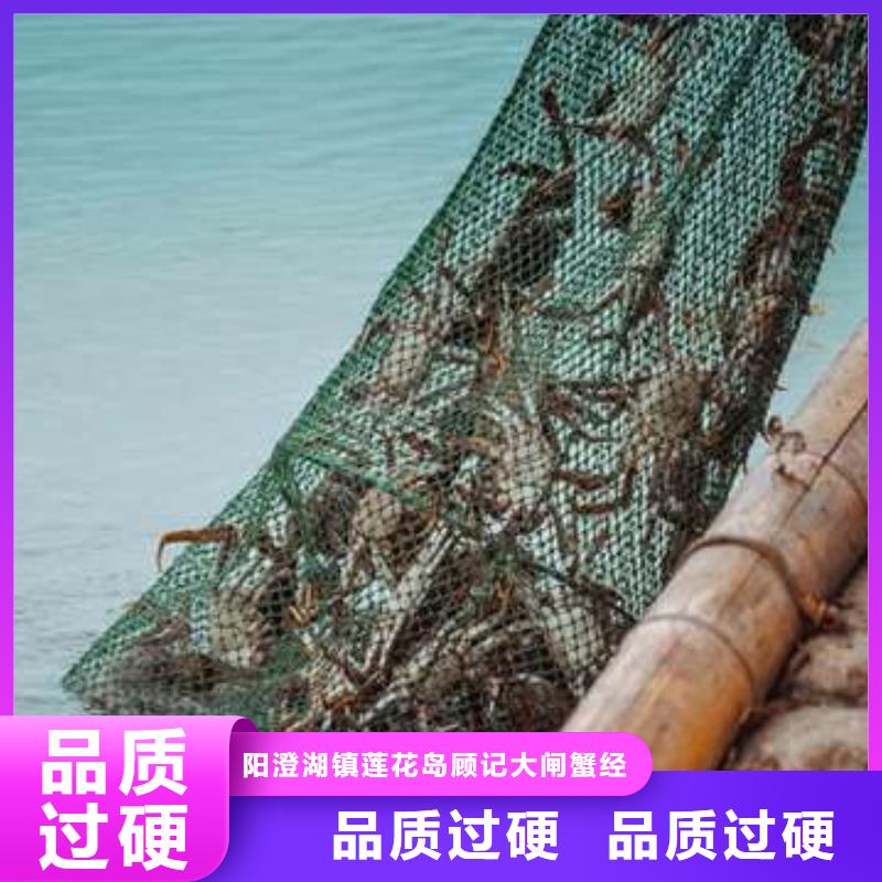 网上订购大闸蟹-视频-网上订购大闸蟹|安阳市|殷都|北关|许昌|郑州|漯河|濮阳|新乡|三门峡|商丘