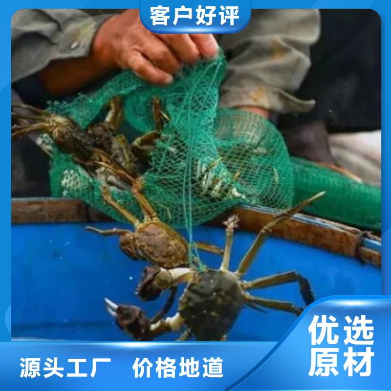 网上订购大闸蟹-视频-四川省遂宁市|射洪|大英|雅安|南充|宜宾|广元|泸州网上订购大闸蟹-顾记