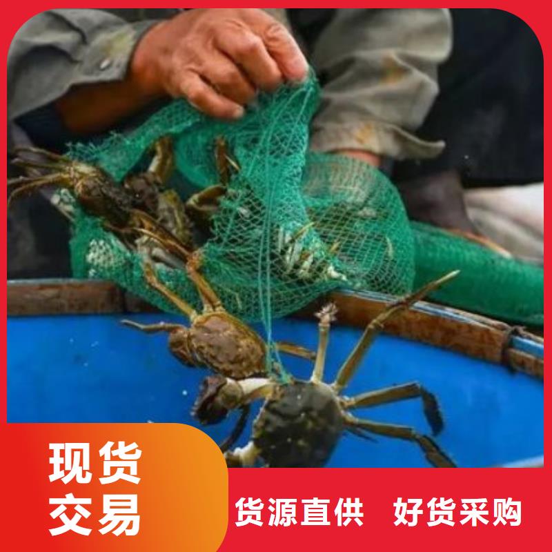 网上订购大闸蟹-视频-毕节市网上订购大闸蟹-该地可服务区域织金|大方|贵阳|黔西南|安顺|铜仁|黔南|黔东南|遵义