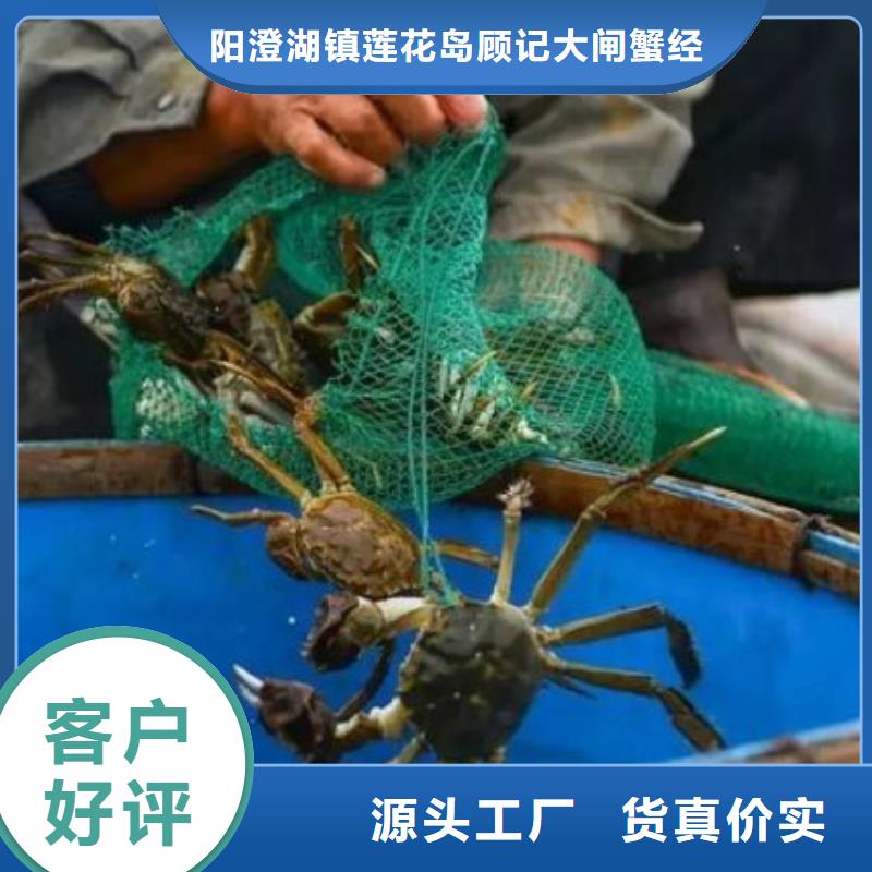 网上订购大闸蟹-视频-甘肃省临夏市顾记网上订购大闸蟹可服务区域康乐|永靖|天水|酒泉|定西|金昌等