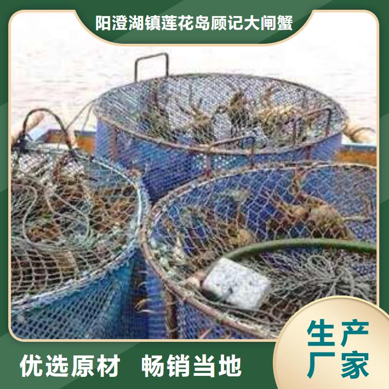 网上订购大闸蟹-视频-网上订购大闸蟹-贵州省(该地)供应商-毕节|遵义|黔西南|安顺|铜仁