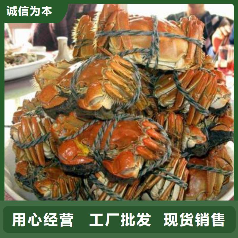 网上订购大闸蟹-视频-四川省遂宁市|射洪|大英|雅安|南充|宜宾|广元|泸州网上订购大闸蟹-顾记