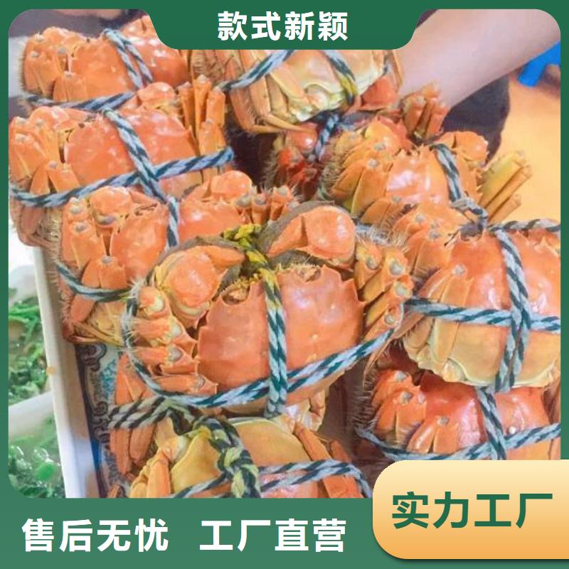 网上订购大闸蟹-视频-网上订购大闸蟹-阳澄湖镇岛顾记大闸蟹经营部(福州市分公司)服务区域马尾|闽侯|莆田|泉州|龙岩|厦门|南平|三明|漳州