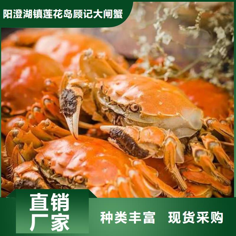 网上订购大闸蟹-视频-网上订购大闸蟹|安阳市|殷都|北关|许昌|郑州|漯河|濮阳|新乡|三门峡|商丘