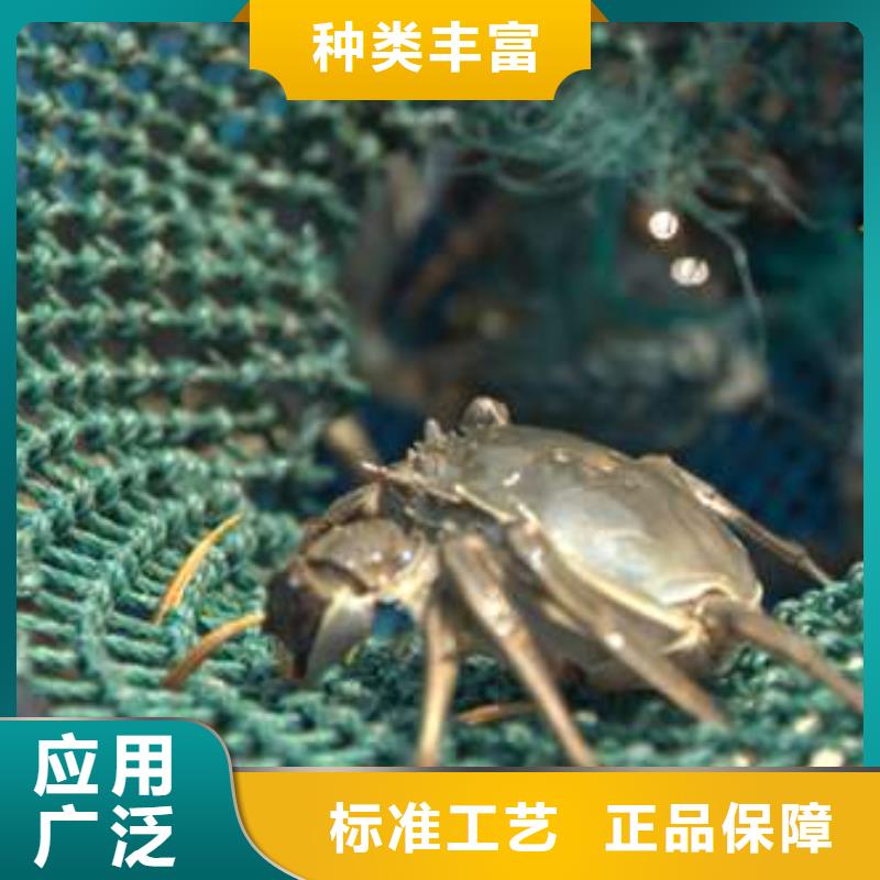 网上订购大闸蟹-视频-吉林省四平市顾记网上订购大闸蟹可服务区域双辽|公主岭|通化|吉林|延边|辽源|长春等