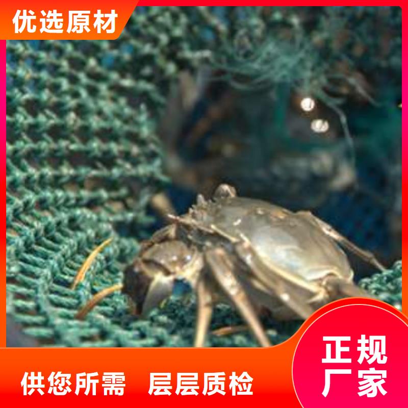 网上订购大闸蟹-视频-网上订购大闸蟹-贵州省(该地)供应商-毕节|遵义|黔西南|安顺|铜仁