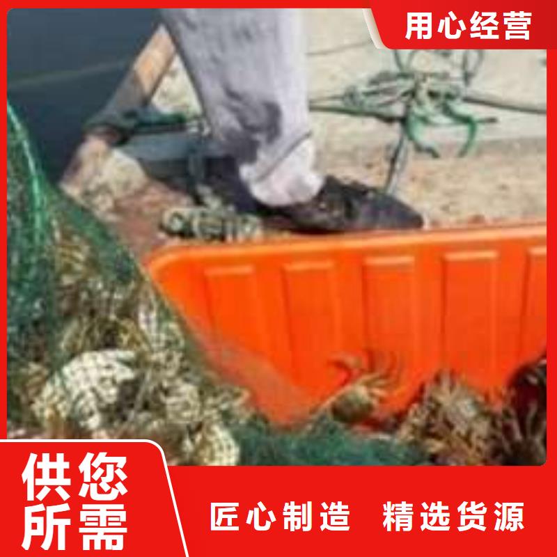 网上订购大闸蟹-视频-吉林省四平市顾记网上订购大闸蟹可服务区域双辽|公主岭|通化|吉林|延边|辽源|长春等