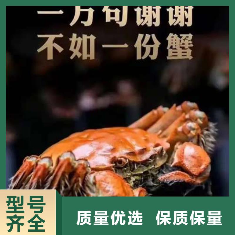 网上订购大闸蟹-视频-网上订购大闸蟹|安阳市|殷都|北关|许昌|郑州|漯河|濮阳|新乡|三门峡|商丘