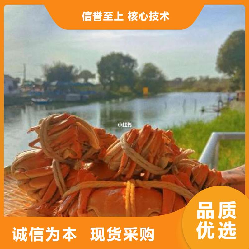 网上订购大闸蟹-视频-网上订购大闸蟹(顾记)覆盖地域湖南省湘西|湘潭|郴州|长沙|株洲|娄底