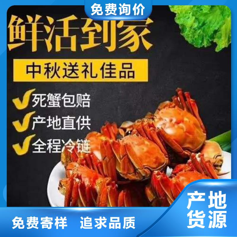 网上订购大闸蟹-视频-黑龙江省绥化市顾记网上订购大闸蟹可服务区域明水|绥棱|鹤岗|齐齐哈尔|大兴安岭|黑河|牡丹江|大庆等