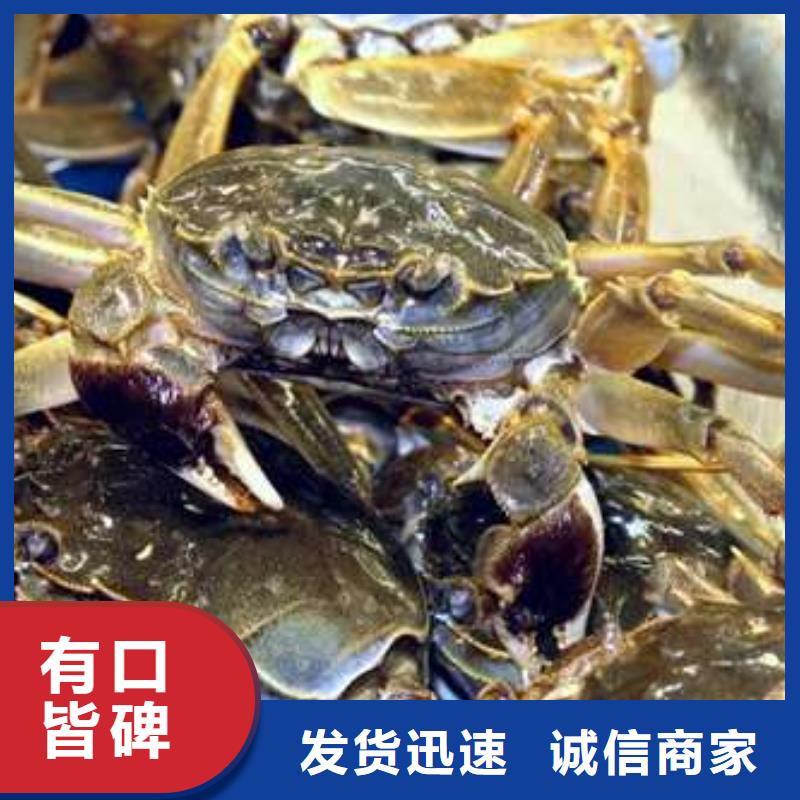 网上订购大闸蟹-视频-网上订购大闸蟹(顾记)覆盖地域湖南省湘西|湘潭|郴州|长沙|株洲|娄底