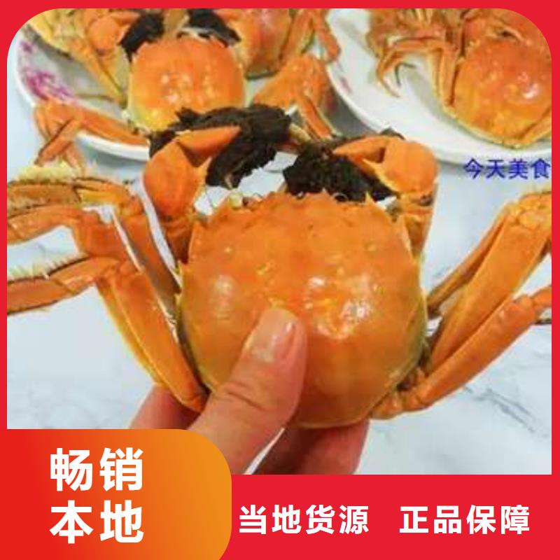 网上订购大闸蟹-视频-网上订购大闸蟹(顾记)覆盖地域四川省资阳市简阳|安岳|自贡|遂宁|内江|凉山|广元|南充|乐山