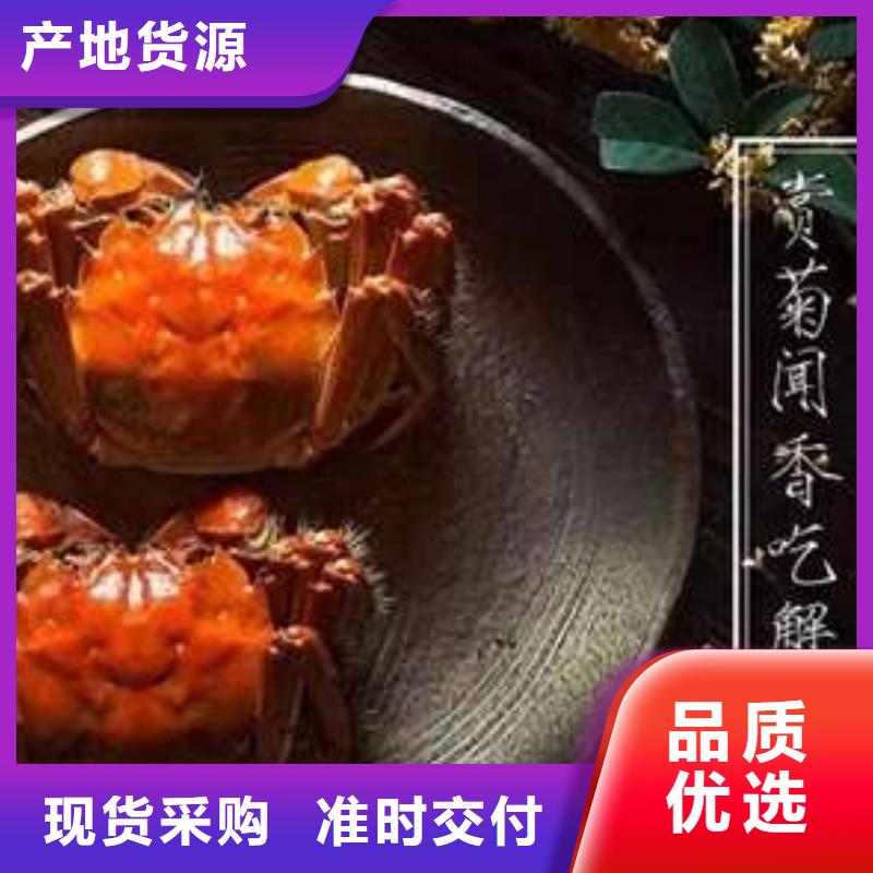 网上订购大闸蟹-视频-甘肃省临夏市顾记网上订购大闸蟹可服务区域康乐|永靖|天水|酒泉|定西|金昌等