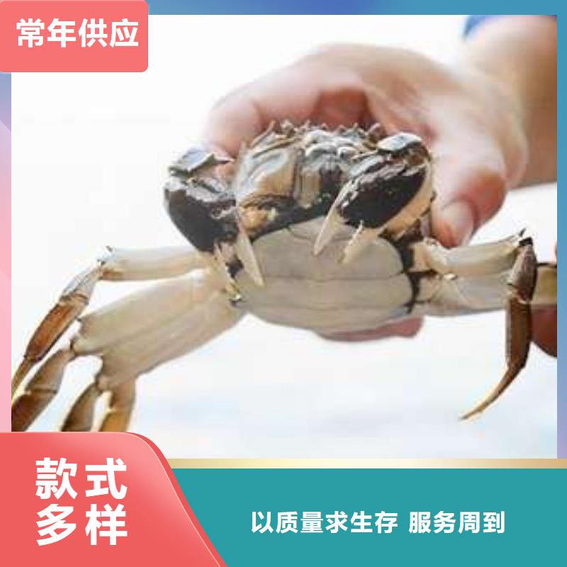 网上订购大闸蟹-视频-毕节市网上订购大闸蟹-该地可服务区域织金|大方|贵阳|黔西南|安顺|铜仁|黔南|黔东南|遵义