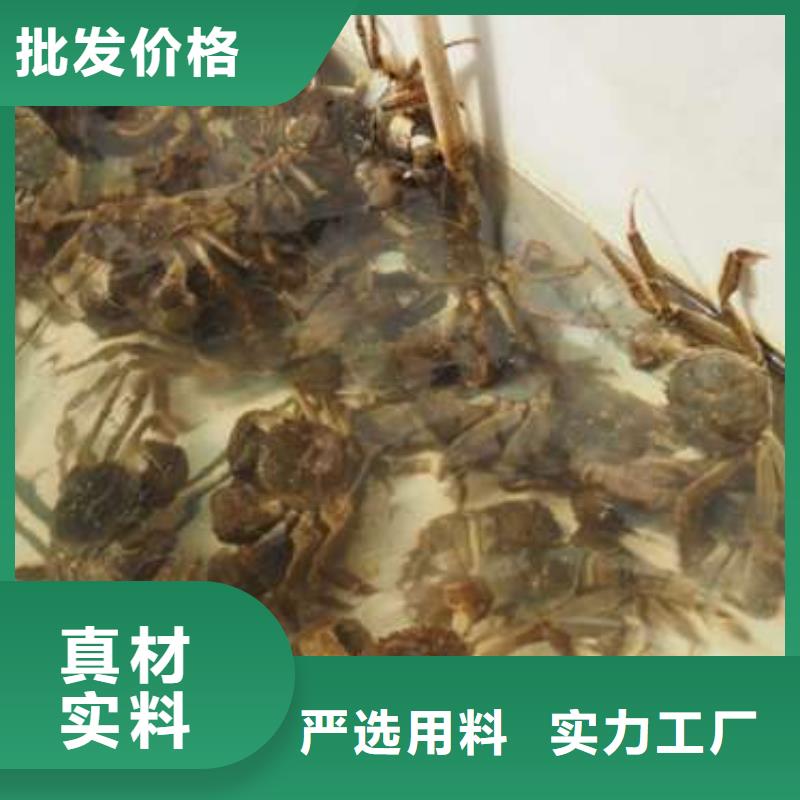 网上订购大闸蟹-视频-网上订购大闸蟹(顾记)覆盖地域湖南省湘西|湘潭|郴州|长沙|株洲|娄底