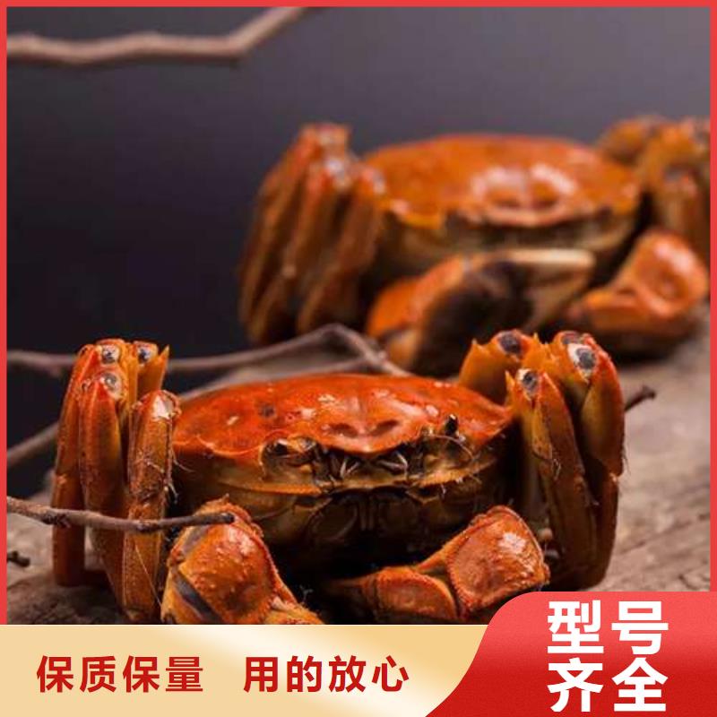 网上订购大闸蟹-视频-黑龙江省绥化市顾记网上订购大闸蟹可服务区域明水|绥棱|鹤岗|齐齐哈尔|大兴安岭|黑河|牡丹江|大庆等