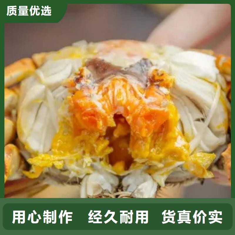 网上订购大闸蟹-视频-四川省遂宁市|射洪|大英|雅安|南充|宜宾|广元|泸州网上订购大闸蟹-顾记