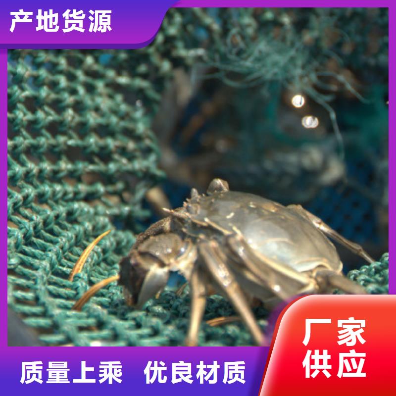 网上订购大闸蟹-视频-网上订购大闸蟹(顾记)覆盖地域四川省资阳市简阳|安岳|自贡|遂宁|内江|凉山|广元|南充|乐山