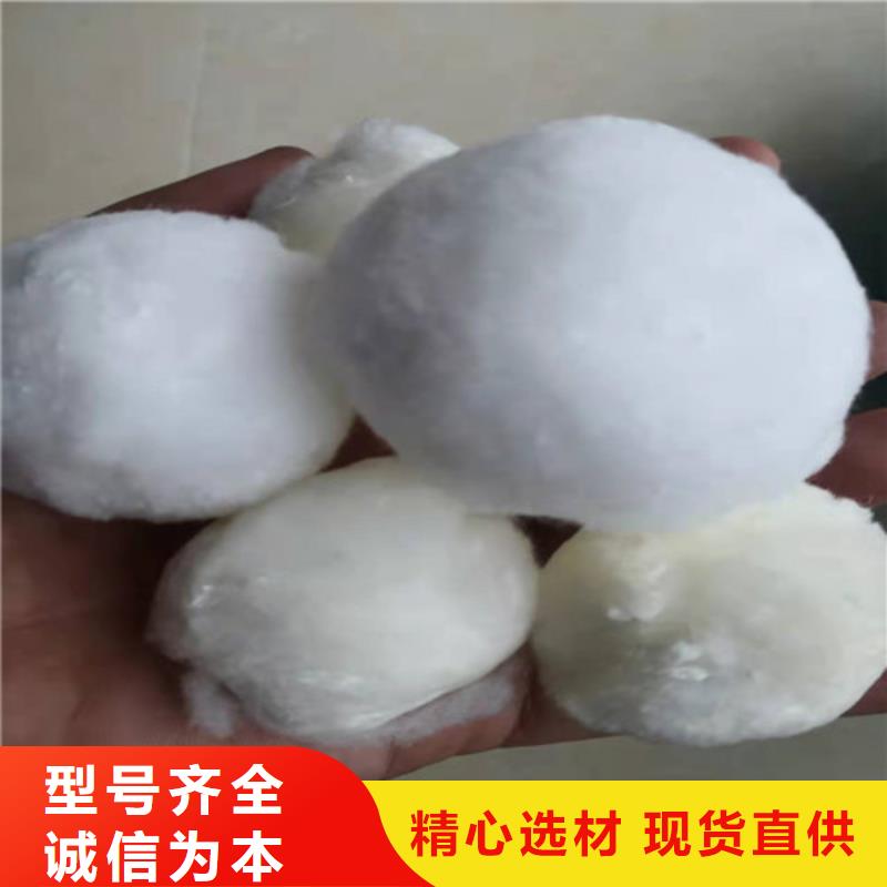 水处理填料_煤质原生碳拒绝差价