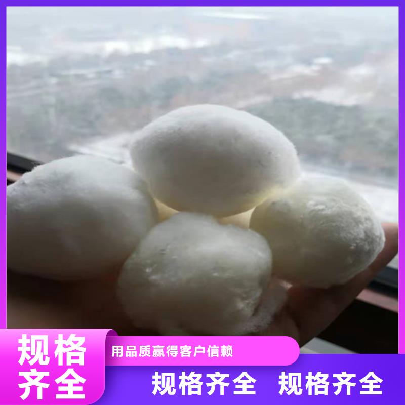 水处理填料_煤质原生碳拒绝差价