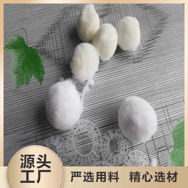 水处理填料_煤质原生碳拒绝差价