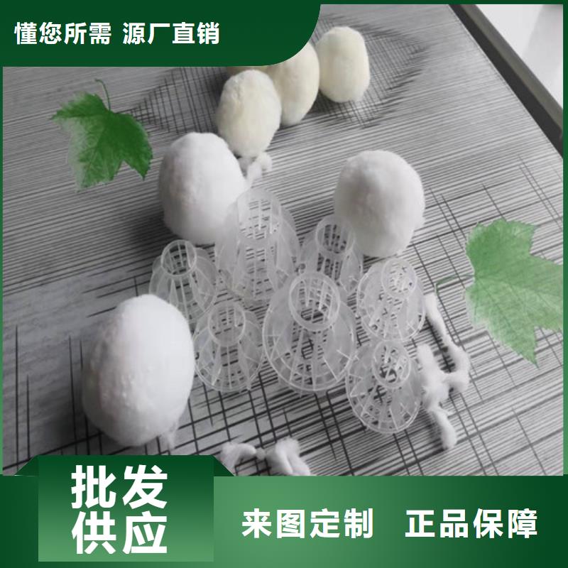 水处理填料_煤质原生碳拒绝差价