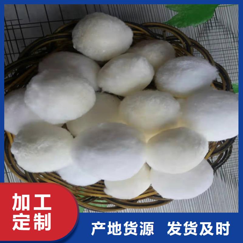 水处理填料【活性炭】多种工艺