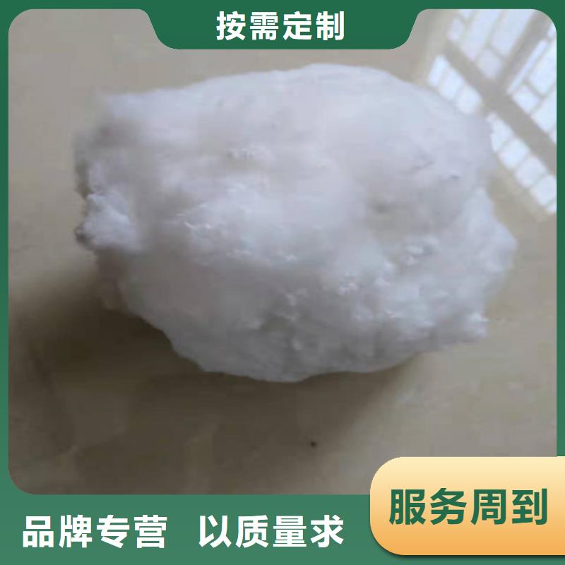 水处理填料_煤质原生碳拒绝差价