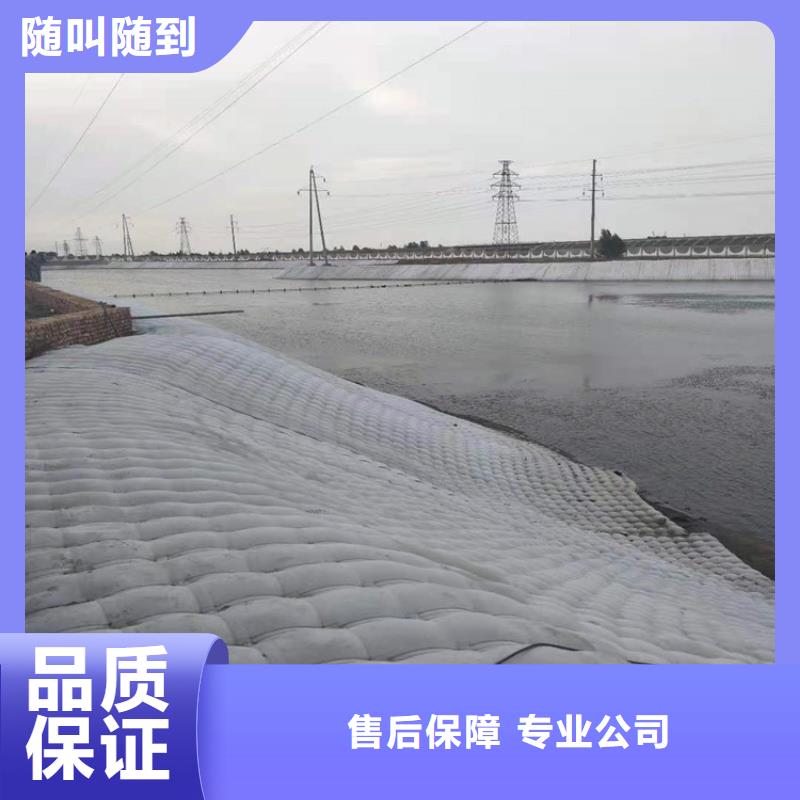 蛙人服务公司_模袋施工高品质