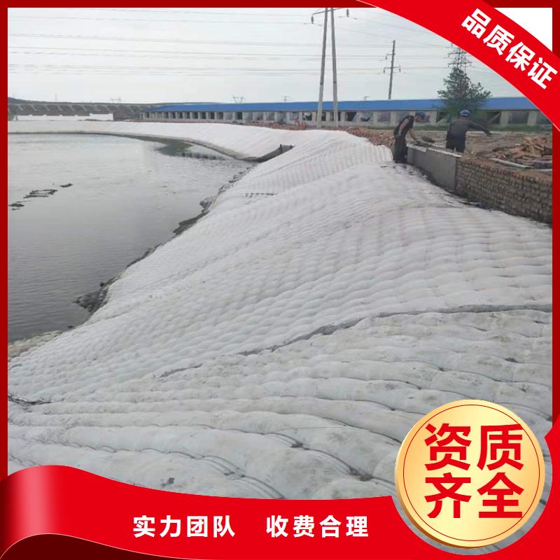 蛙人服务公司_水下堵漏实力商家