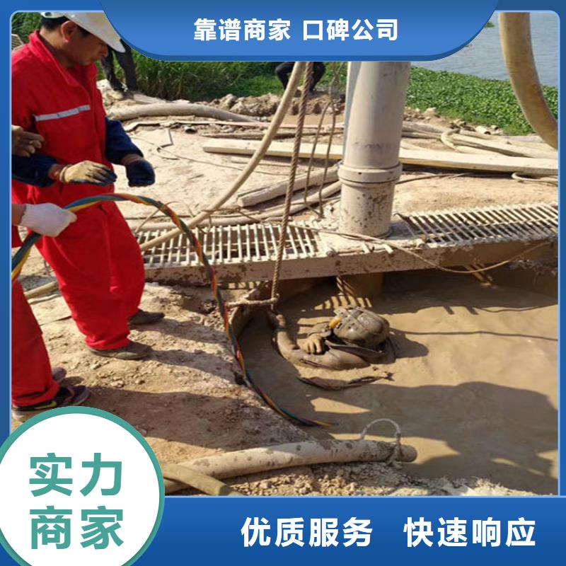醴陵水下孔洞堵漏-潜水员施工队