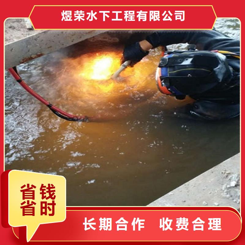 水下水下录像欢迎询价