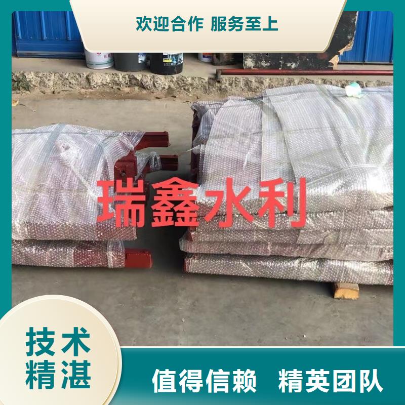 铸铁镶铜闸门可加工设计