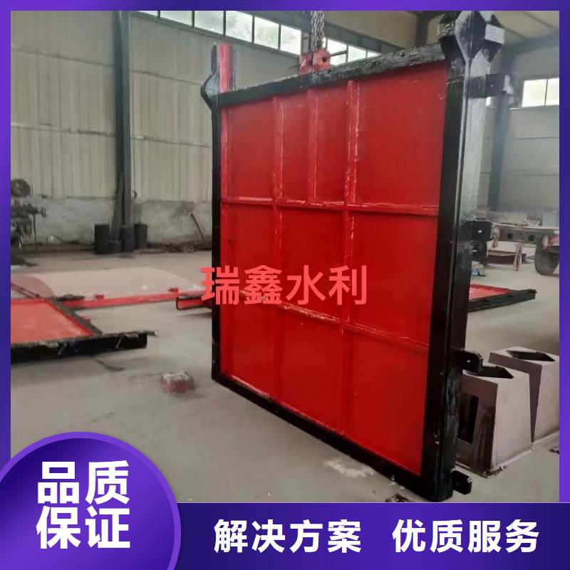 启闭机闸门-平面闸门带直联启闭机源头厂家