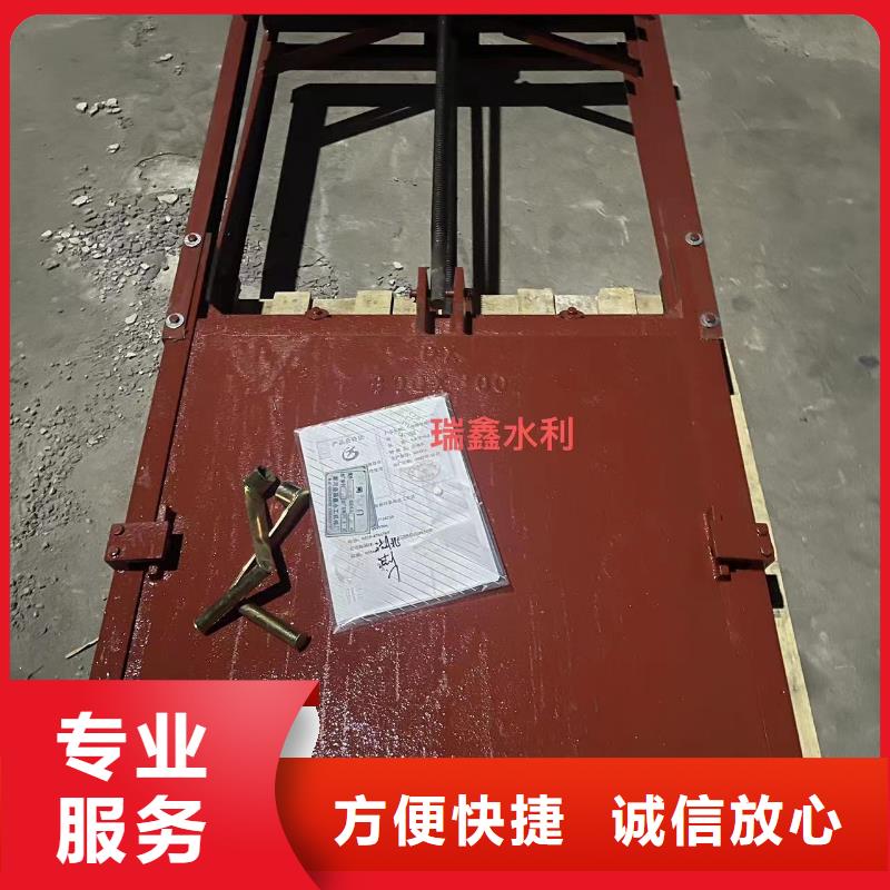 平面拱形闸门-水电站闸门售后无忧