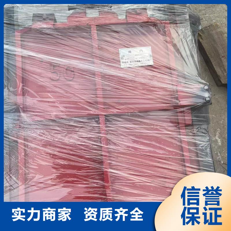河道铸铁闸门-PZ双向止水铸铁镶铜闸门高品质