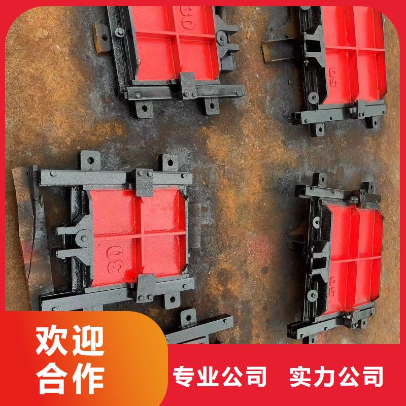 排灌渠铸铁闸门[厂家]