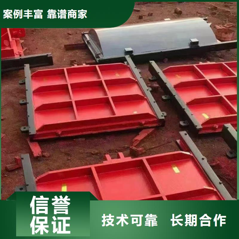 商城县铸铁镶铜闸门