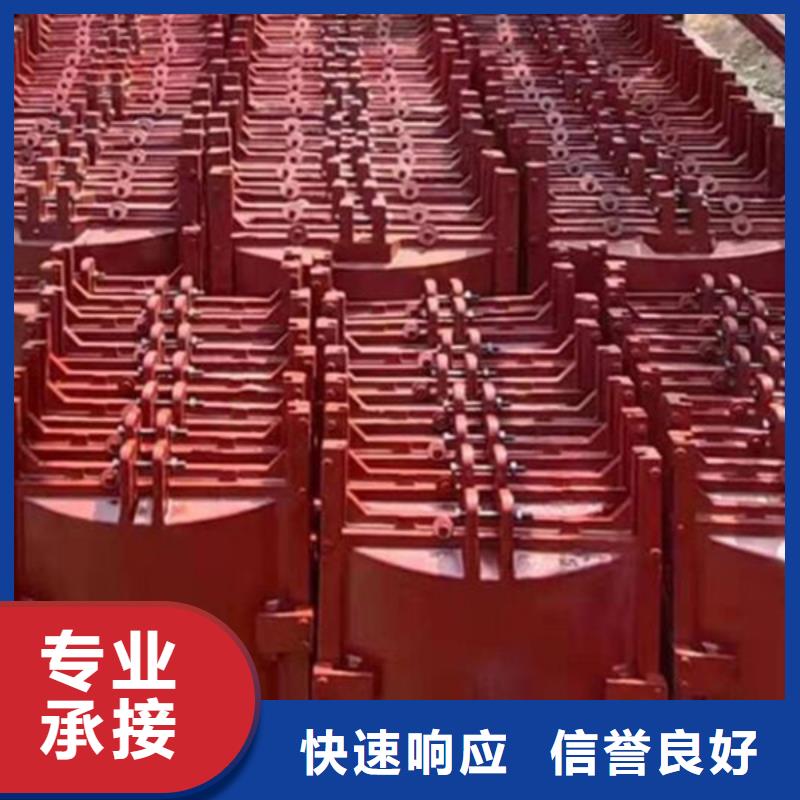 渠道闸门品类多