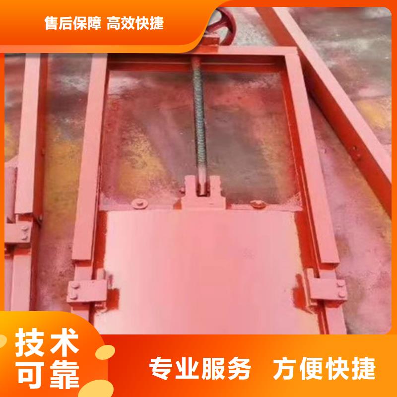 铸铁镶铜闸门-双向螺旋闸门智能