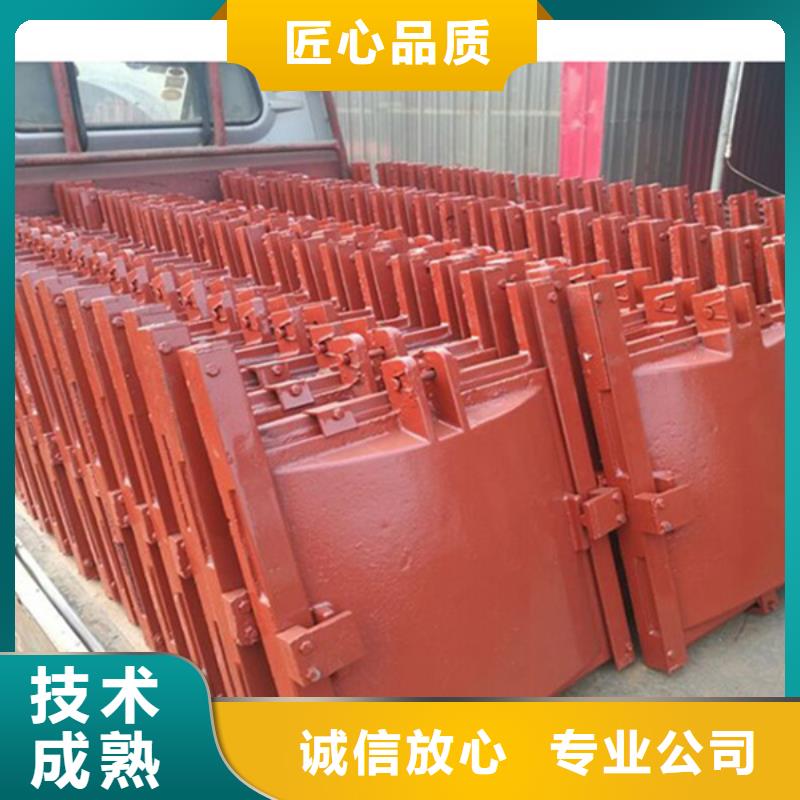 200x200平面拱形铸铁闸门厂家直销-找瑞鑫启闭机铸铁闸门清污机钢闸门拍门水工机械厂