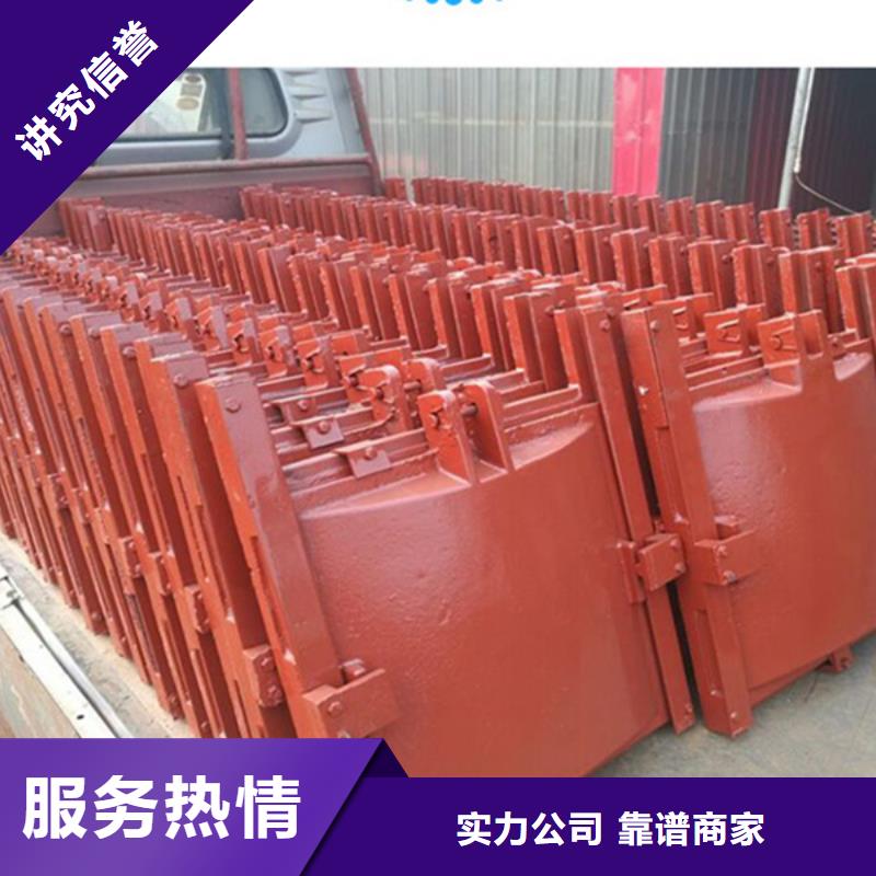 启闭机闸门平板铸铁镶铜闸门-供应商价格