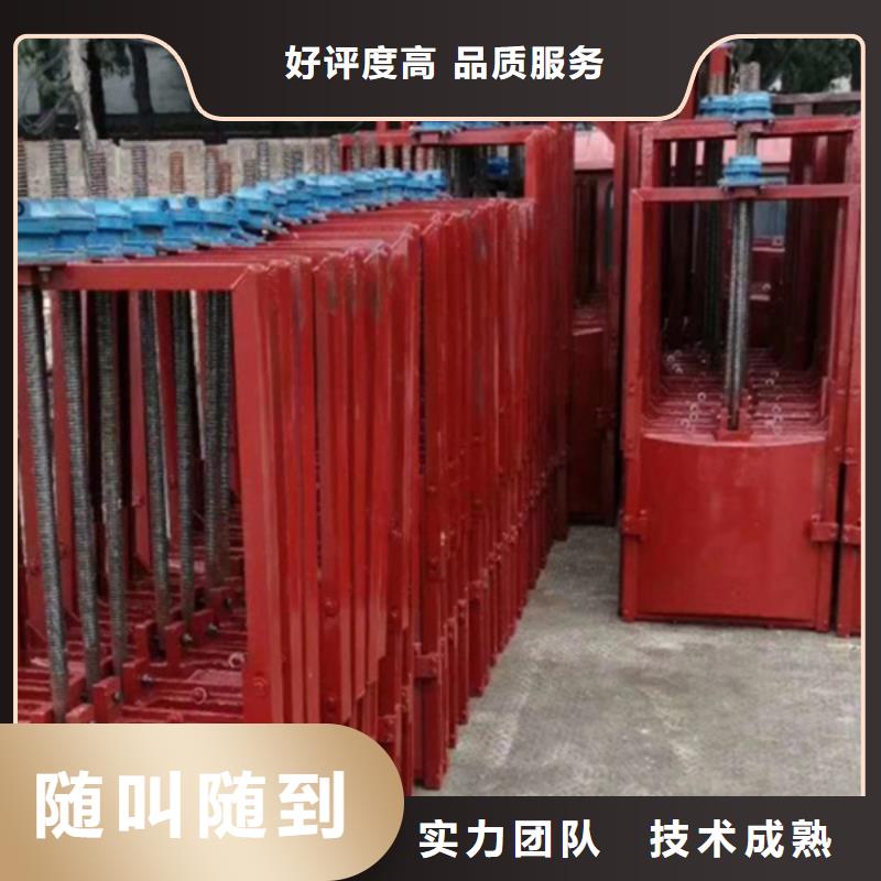 启闭机闸门-双向止水铸铁镶铜闸门信誉良好