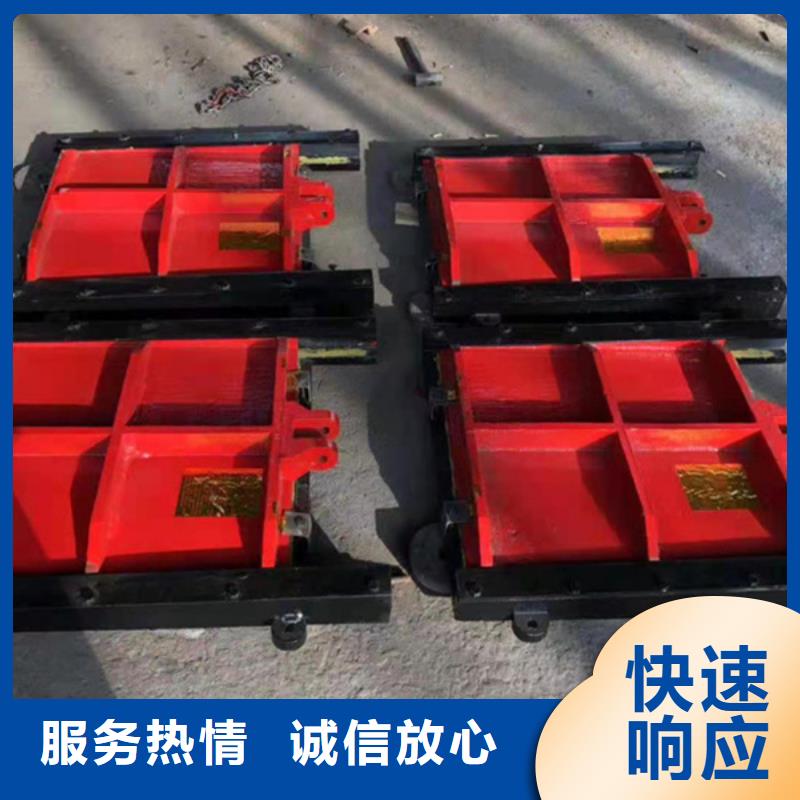 铸铁镶铜闸门-2×1.8铸铁闸门老牌