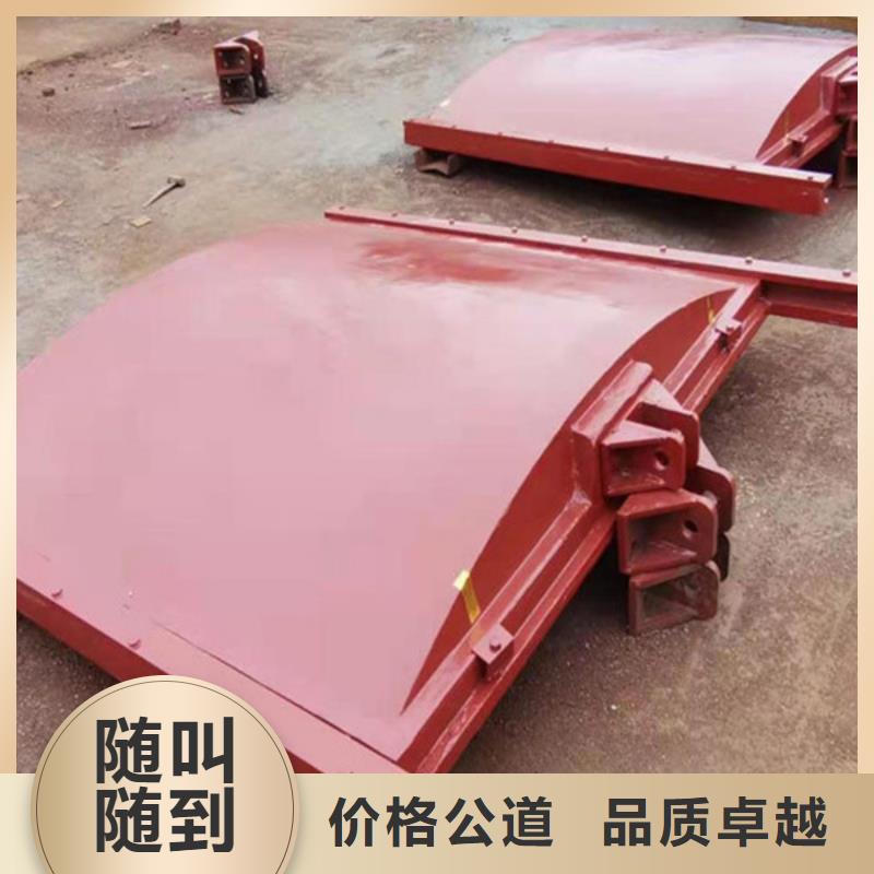 快速:潜孔式钢闸门厂家