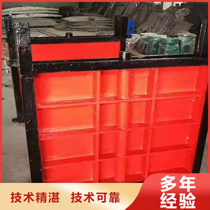 铸铁镶铜闸门-双向铸铁镶铜闸门智能