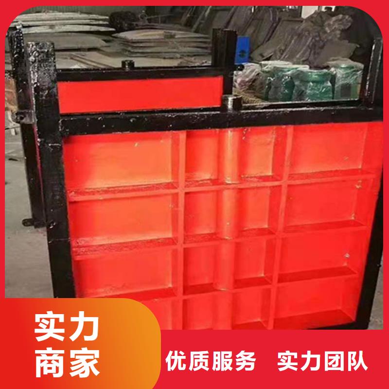 启闭机闸门-ZMQF铸铁镶铜闸门老牌
